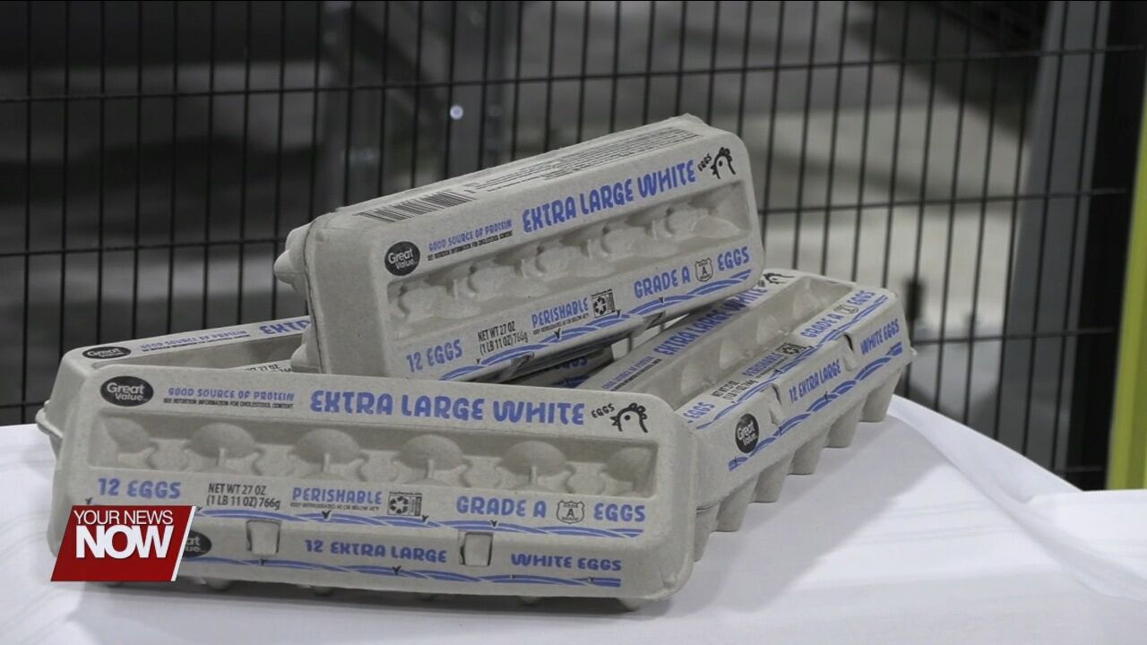 New TekniPlex factory in Van Wert holds grand opening